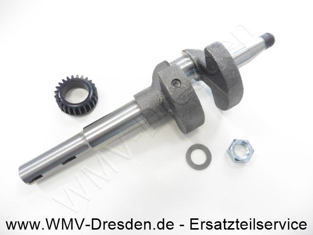 Artikel 793615-BRI Hersteller: BriggsundStratton 